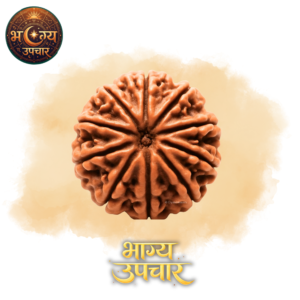 10 Mukhi Rudraksh