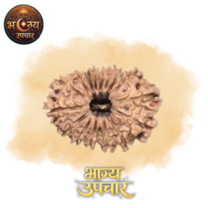16 Mukhi Rudraksh