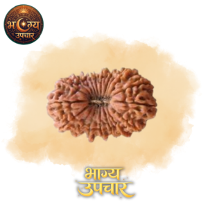 19 Mukhi Rudraksh