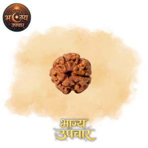 3 Mukhi Rudraksh