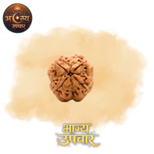 4 Mukhi Rudraksh