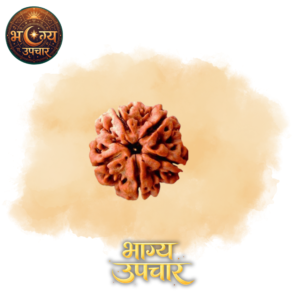 5 Mukhi Rudraksh