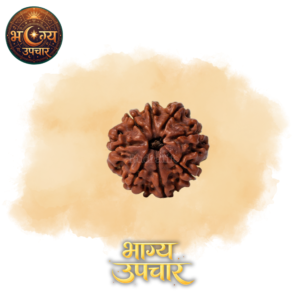8 Mukhi Rudraksh
